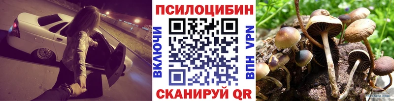 Псилоцибиновые грибы Psilocybine cubensis  Сретенск 